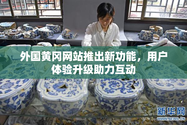外国黄冈网站推出新功能，用户体验升级助力互动