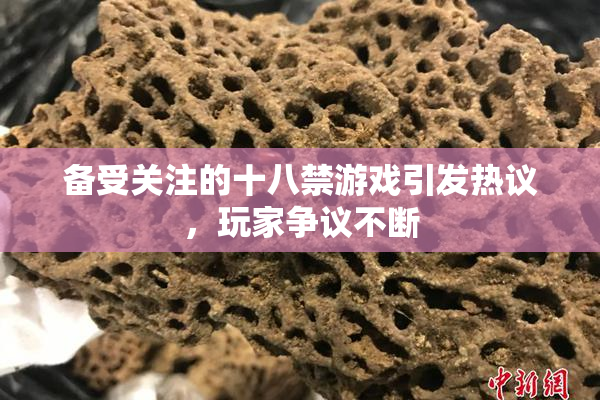 备受关注的十八禁游戏引发热议，玩家争议不断