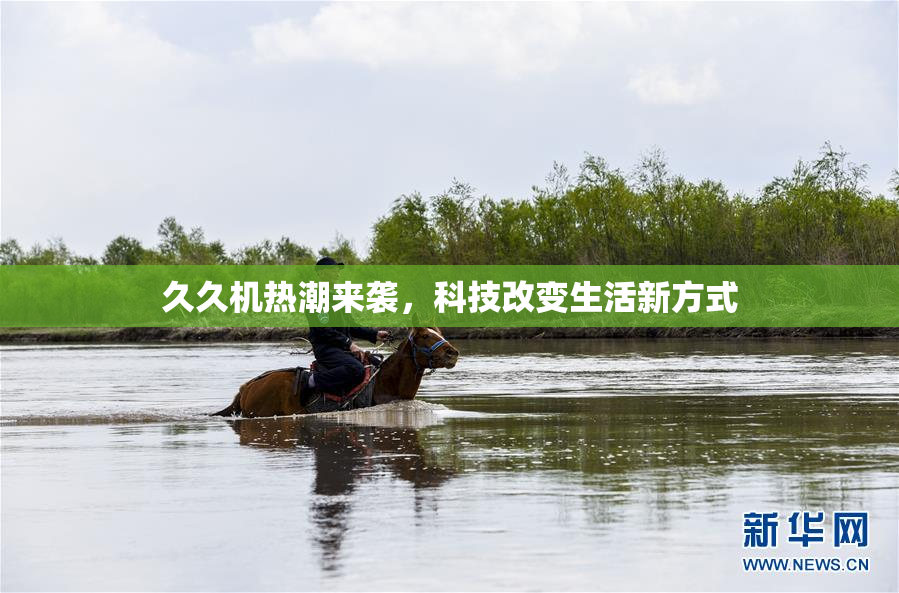 久久机热潮来袭，科技改变生活新方式