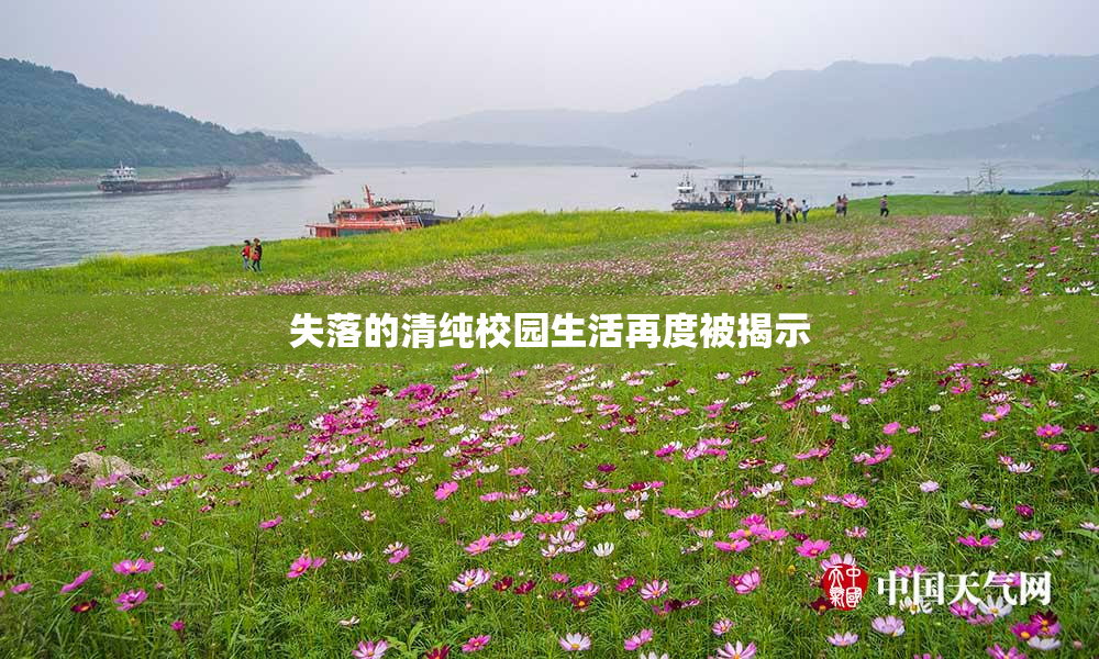 失落的清纯校园生活再度被揭示