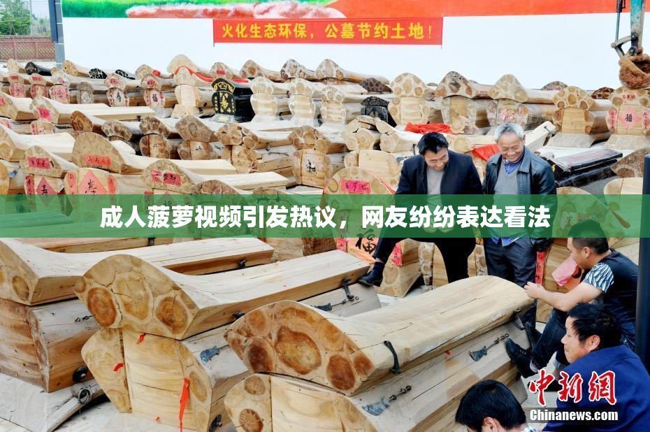 成人菠萝视频引发热议，网友纷纷表达看法
