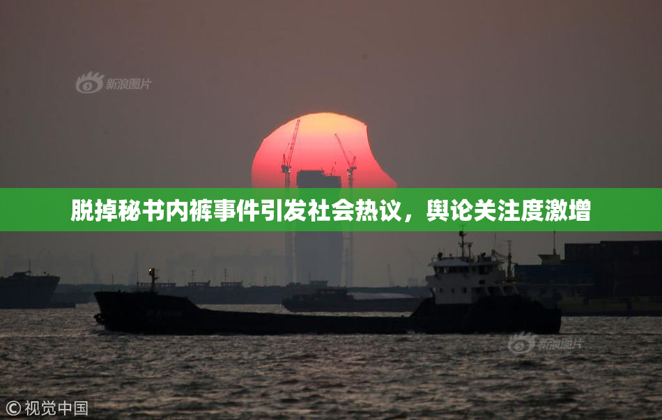 脱掉秘书内裤事件引发社会热议，舆论关注度激增