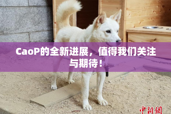 CaoP的全新进展，值得我们关注与期待！