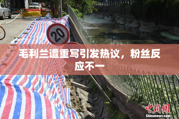 毛利兰遭重写引发热议，粉丝反应不一