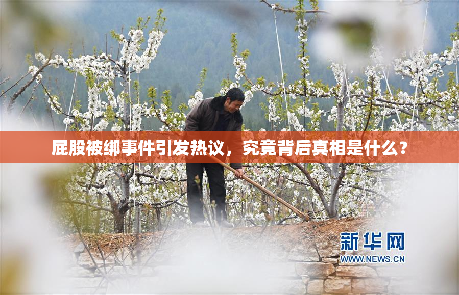 屁股被绑事件引发热议，究竟背后真相是什么？