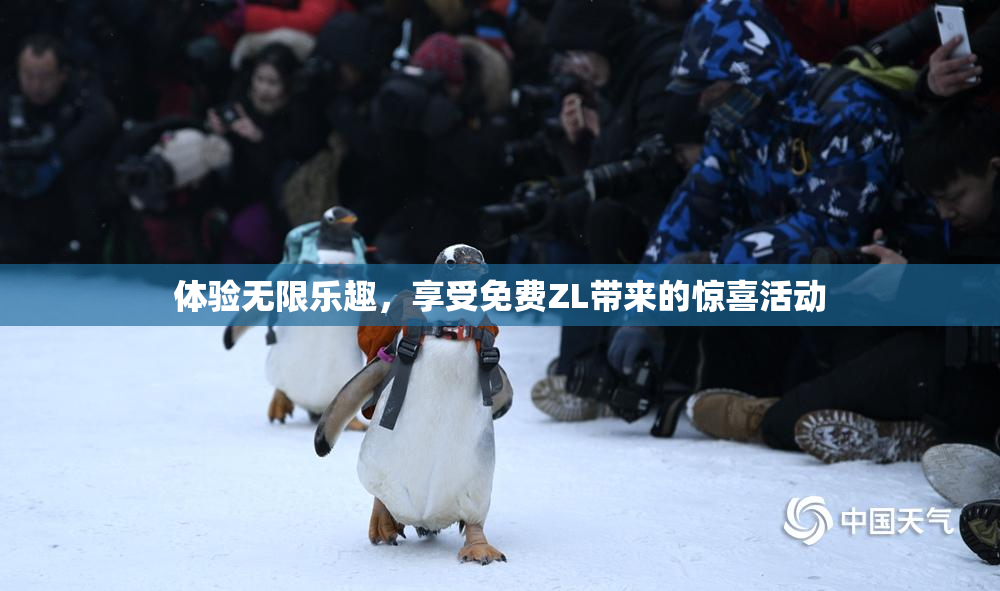 体验无限乐趣，享受免费ZL带来的惊喜活动