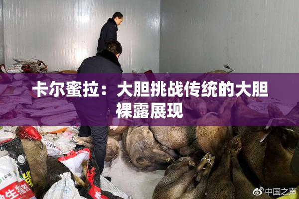 卡尔蜜拉：大胆挑战传统的大胆裸露展现