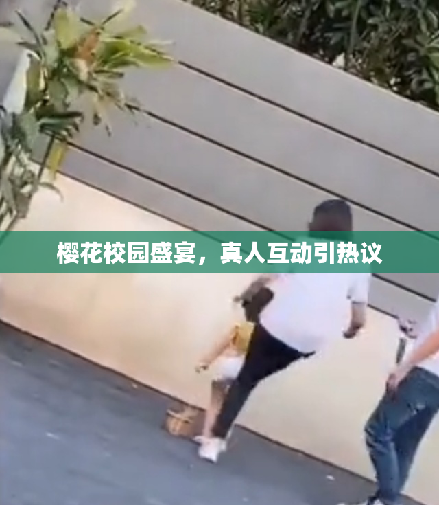 樱花校园盛宴，真人互动引热议