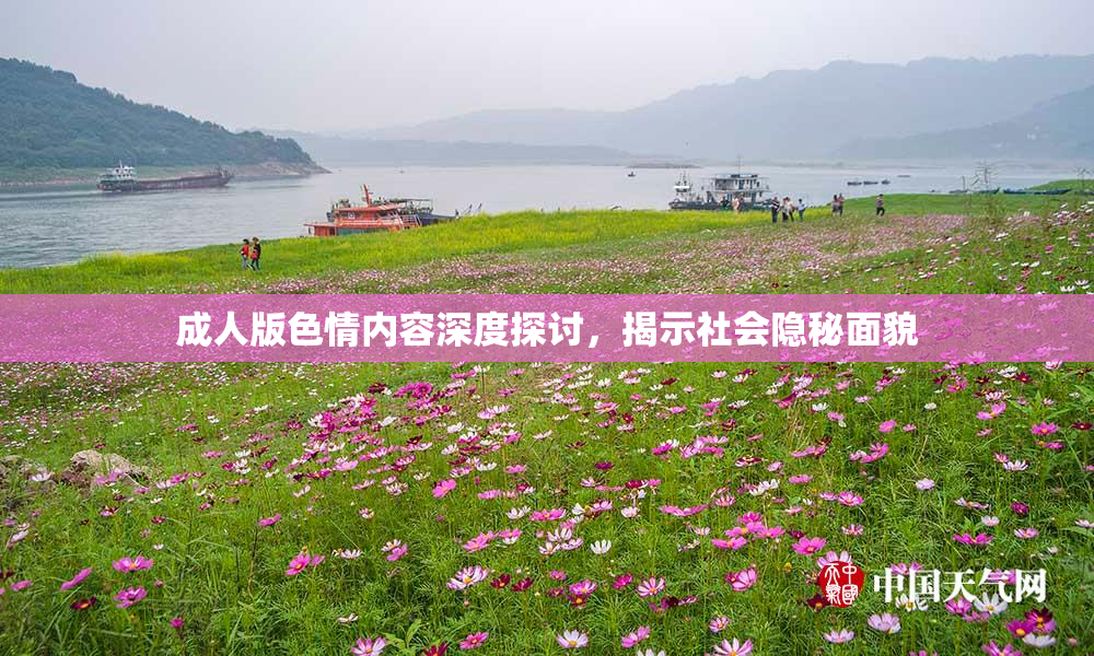 成人版色情内容深度探讨，揭示社会隐秘面貌