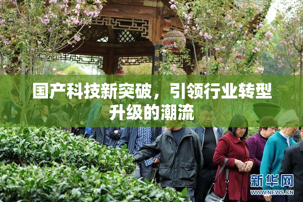 国产科技新突破，引领行业转型升级的潮流