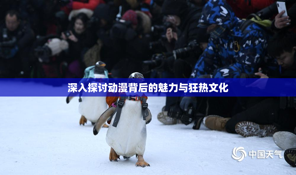 深入探讨动漫背后的魅力与狂热文化