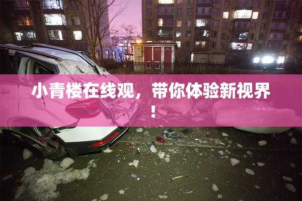 小青楼在线观，带你体验新视界！
