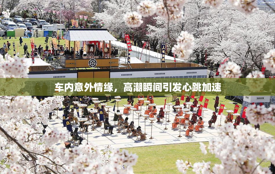 车内意外情缘，高潮瞬间引发心跳加速