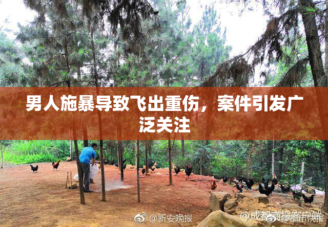 男人施暴导致飞出重伤，案件引发广泛关注