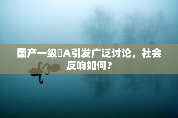 国产一级婬A引发广泛讨论，社会反响如何？