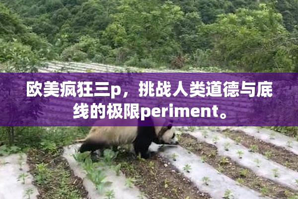 欧美疯狂三p，挑战人类道德与底线的极限periment。