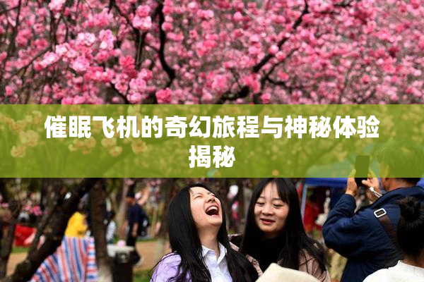 催眠飞机的奇幻旅程与神秘体验揭秘