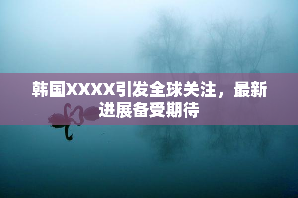 韩国XXXX引发全球关注，最新进展备受期待