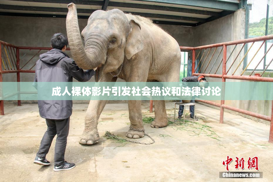 成人裸体影片引发社会热议和法律讨论