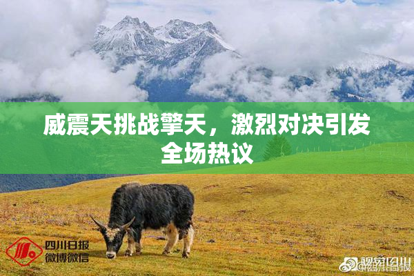 威震天挑战擎天，激烈对决引发全场热议