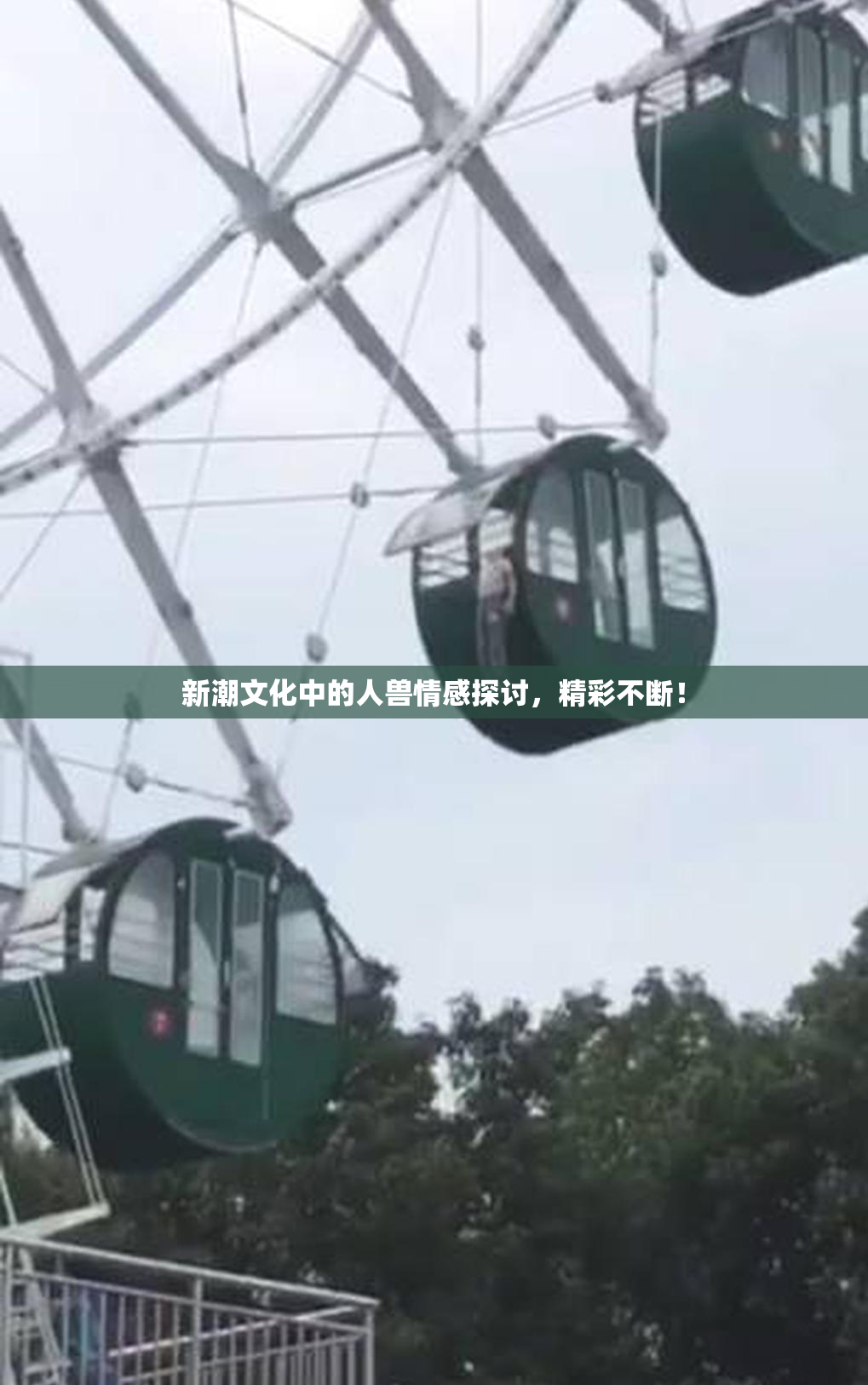 新潮文化中的人兽情感探讨，精彩不断！