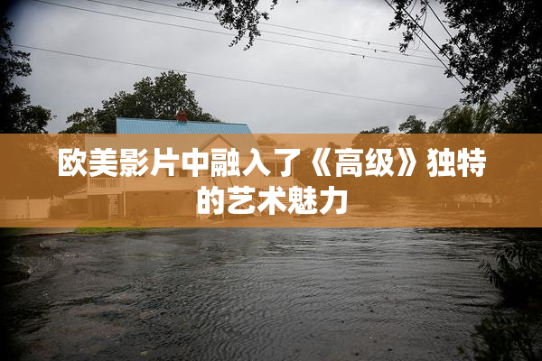欧美影片中融入了《高级》独特的艺术魅力