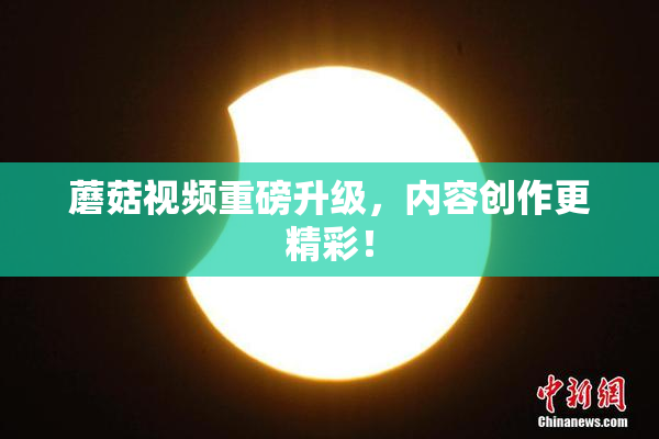 蘑菇视频重磅升级，内容创作更精彩！