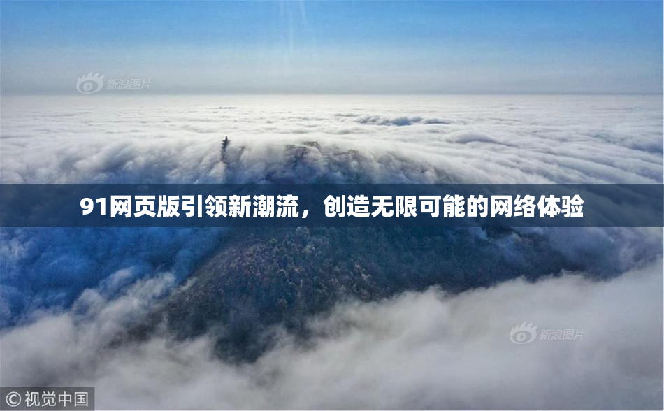 91网页版引领新潮流，创造无限可能的网络体验