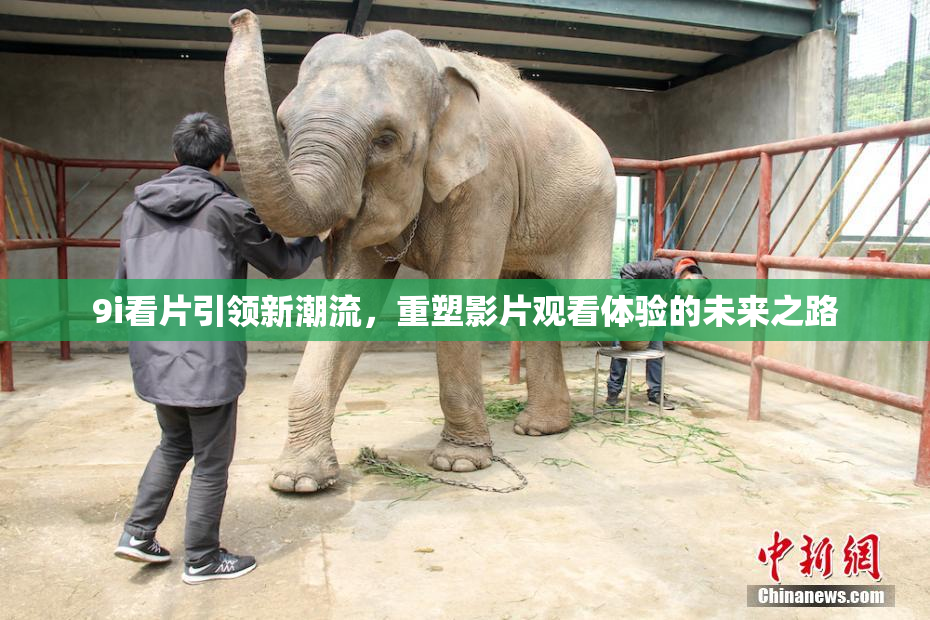 9i看片引领新潮流，重塑影片观看体验的未来之路