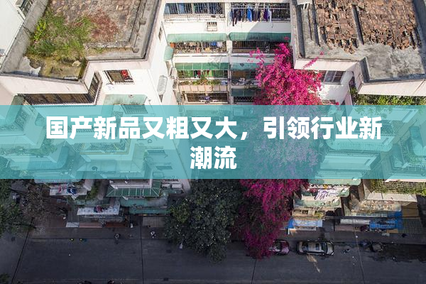 国产新品又粗又大，引领行业新潮流