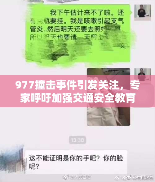 977撞击事件引发关注，专家呼吁加强交通安全教育与管理