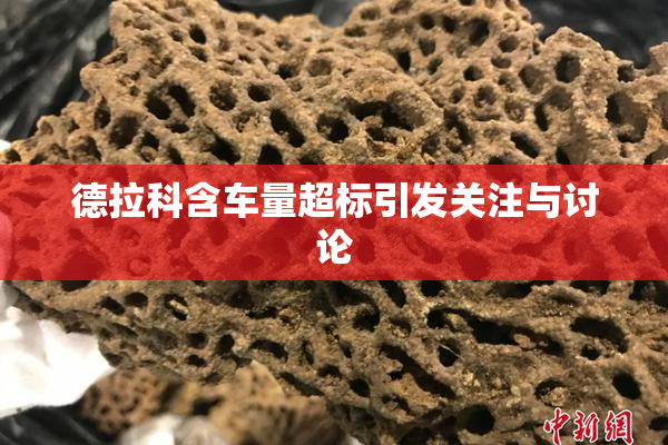 德拉科含车量超标引发关注与讨论