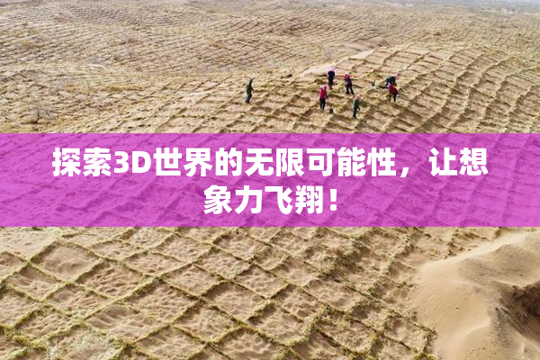 探索3D世界的无限可能性，让想象力飞翔！