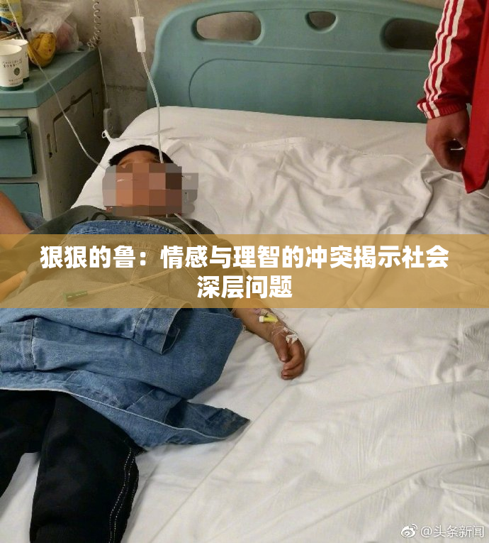 狠狠的鲁：情感与理智的冲突揭示社会深层问题