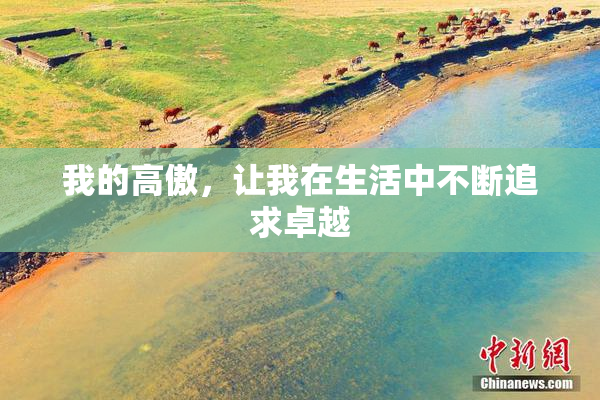 我的高傲，让我在生活中不断追求卓越