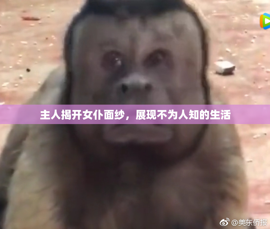 主人揭开女仆面纱，展现不为人知的生活