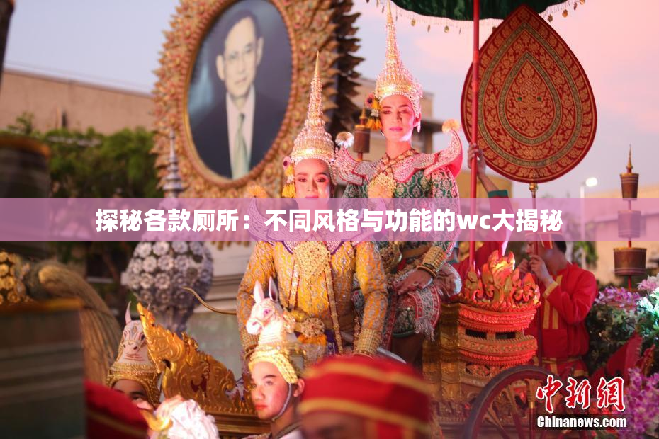 探秘各款厕所：不同风格与功能的wc大揭秘