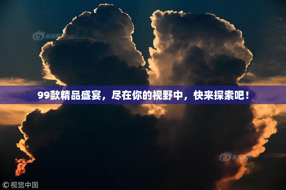99款精品盛宴，尽在你的视野中，快来探索吧！