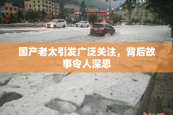 国产老太引发广泛关注，背后故事令人深思