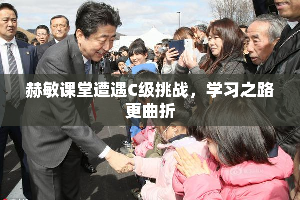 赫敏课堂遭遇C级挑战，学习之路更曲折