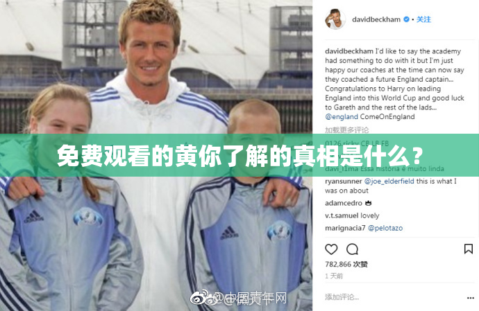 免费观看的黄你了解的真相是什么？