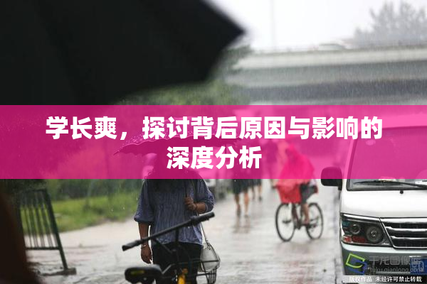 学长爽，探讨背后原因与影响的深度分析