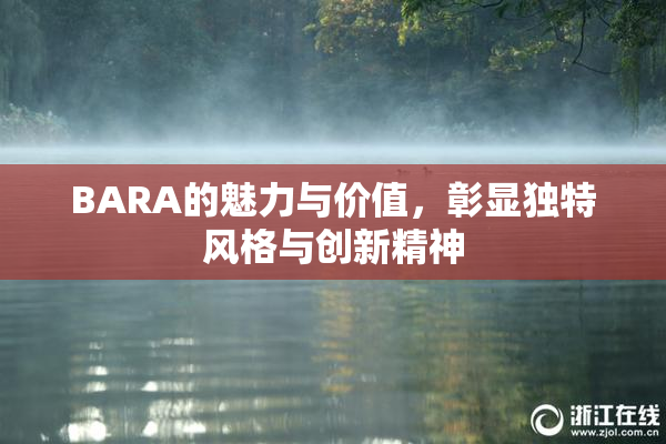 BARA的魅力与价值，彰显独特风格与创新精神
