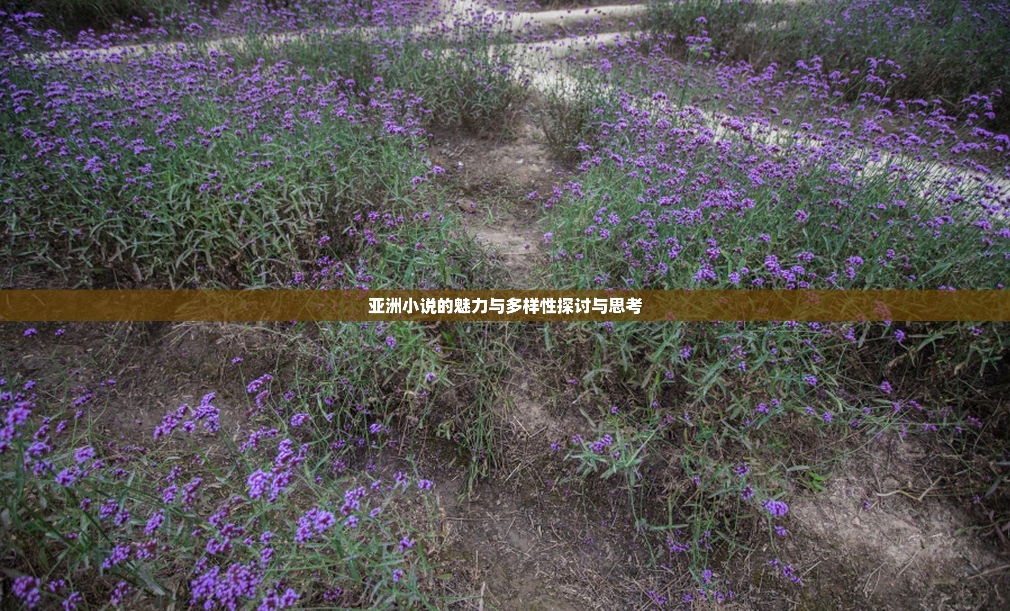 亚洲小说的魅力与多样性探讨与思考
