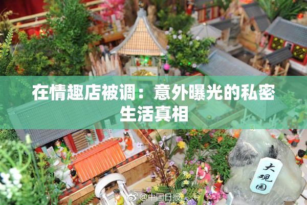 在情趣店被调：意外曝光的私密生活真相