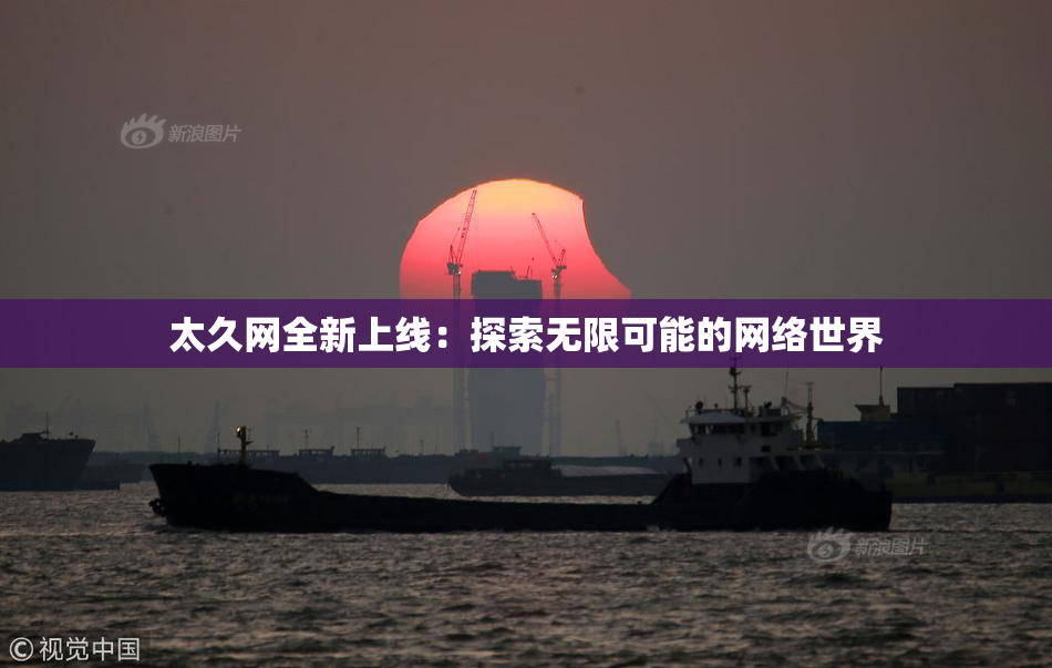 太久网全新上线：探索无限可能的网络世界