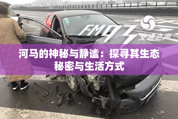 河马的神秘与静谧：探寻其生态秘密与生活方式