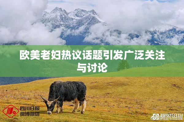 欧美老妇热议话题引发广泛关注与讨论
