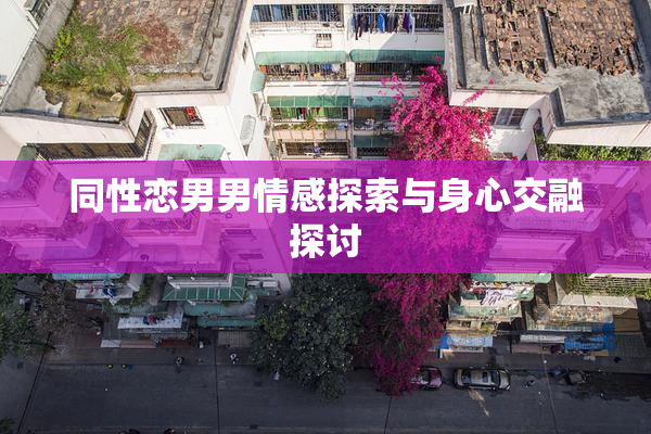 同性恋男男情感探索与身心交融探讨