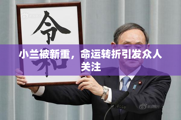小兰被新重，命运转折引发众人关注